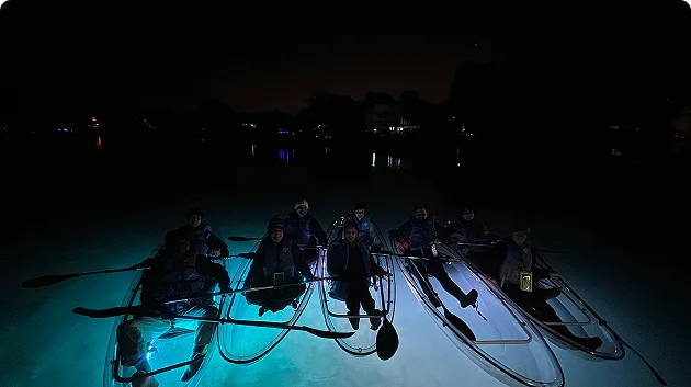 A group of people in clear kayaks illuminated by blue LED lights during a guided night tour on calm water